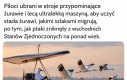 Wymarzona praca