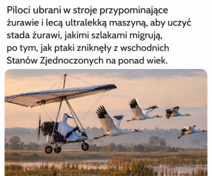 Wymarzona praca