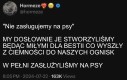 Bez nas nie byłoby piesełów