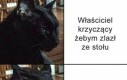 CO TO BYŁO
