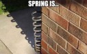 Wiosno, wiosno!