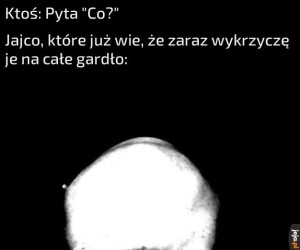 "Co? Jajco!" Zawsze bawi