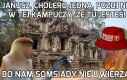 Indochiny zawsze na propsie