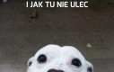 I jak tu nie ulec