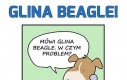 Glina Beagle i znikająca piłka