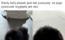Oko ciemności