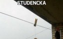 Studencka