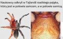 Wiadomo