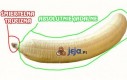 Banan i jego elementy