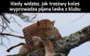 Prawdziwy dżentelmen