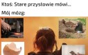 Ciekawe czy dobry ten film