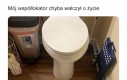 Cóż to była za sesja