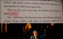 Dumbledore w dwóch wersjach
