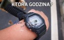 Która godzina?