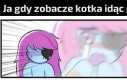 Kitku :D