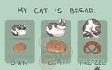 Mój kot jest chlebem