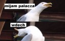 Fuj