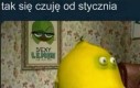Ja też