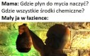 Alchemia
