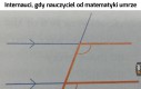 Jedyna prawidłowa reakcja