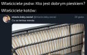 Koty to majestatyczne stworzenia