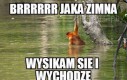 Jak to muszę coś zamówić, żeby się wysikać?!