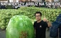 Największy arbuz na świecie