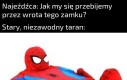 Poradzili sobie jakoś