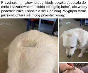 Chyba został oficjalnym bankiem PKO