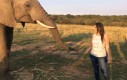 Buziak od słonia