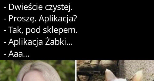 Nieporozumienie pod Żabką - Jeja.pl