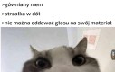 Tytuł