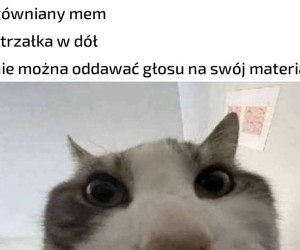 To trzeba na spokojnie usiąść