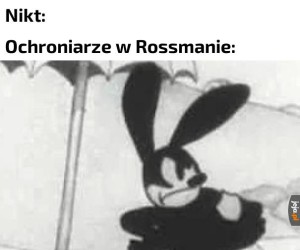 Zawsze czujni, zawsze gotowi do walki czy pościgu