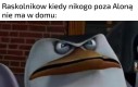 Lekturalne heheszki