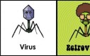Jak wygląda Wirus?