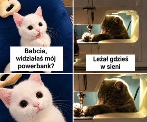 To pogadane