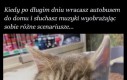 Jestem głównym bohaterem filmu lub teledysku
