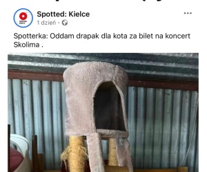 Rozsądna oferta