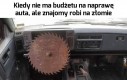 Polak potrafi
