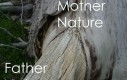 Co stworzyła matka natura?