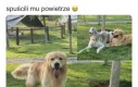 Tak się łatwiej mieści w szafie