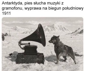Tylko najpilniejsze