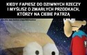 Nie o taką Polskę walczyli