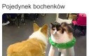 Niech wygra najchlebszy