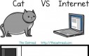 Kot vs Internet