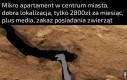 Blat kuchenny ma całe 12cm!