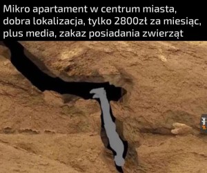 Blat kuchenny ma całe 12cm!
