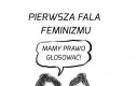 3 fale feminizmu