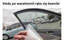 Żeby tylko ręka...